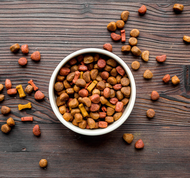 best dry dog foods - featured image