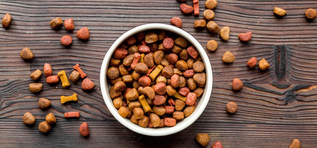 Best types of dry dog food for Golden Irishes