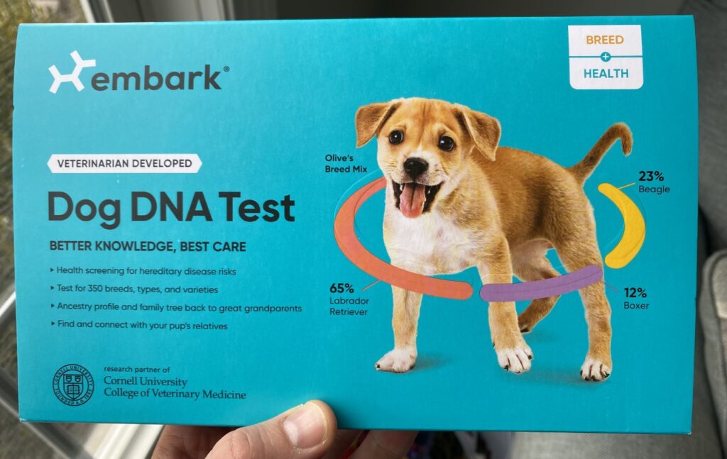 Best DNA tests for Norwegian Buhunds