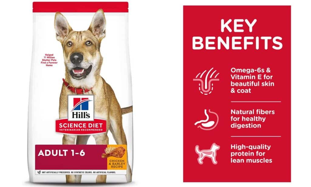 Best dog foods for mixed breeds