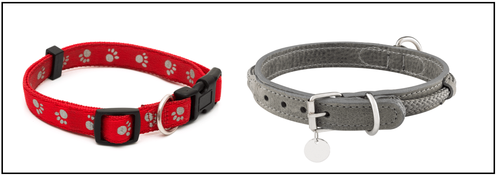 Best types of collars for Doxiepoos