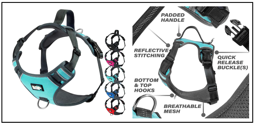 Best types of harnesses for Pumis