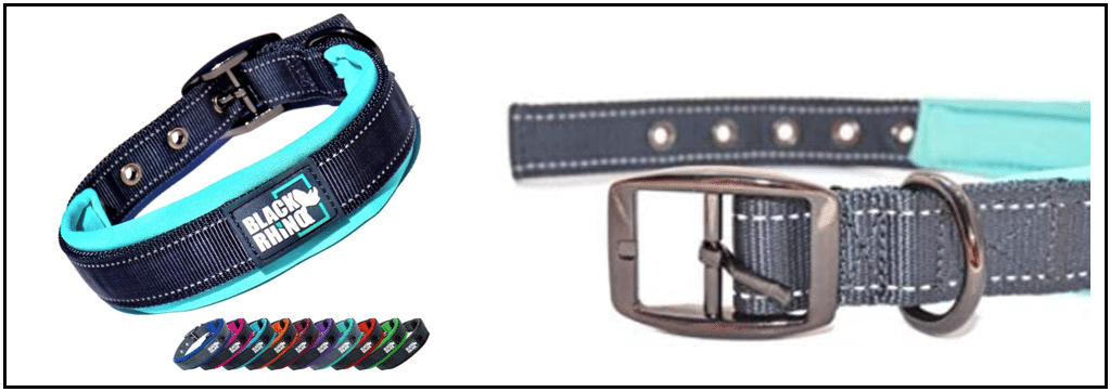 Best types of collars for Boxerdoodles