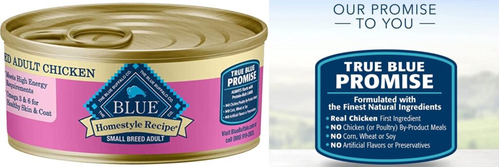 Best types of wet dog food for small dogs