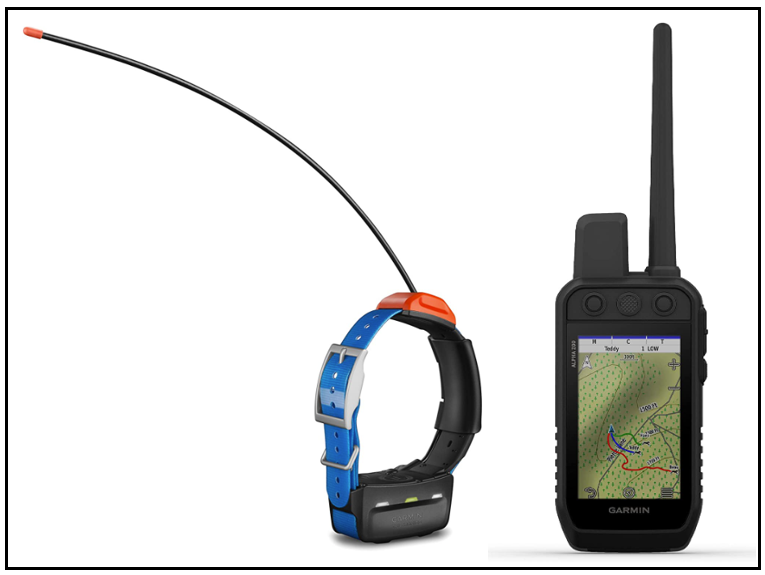 Best types of GPS collars for Leonbergers