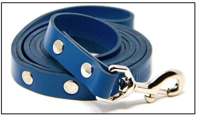 Best types of leashes for Akita Shepherds