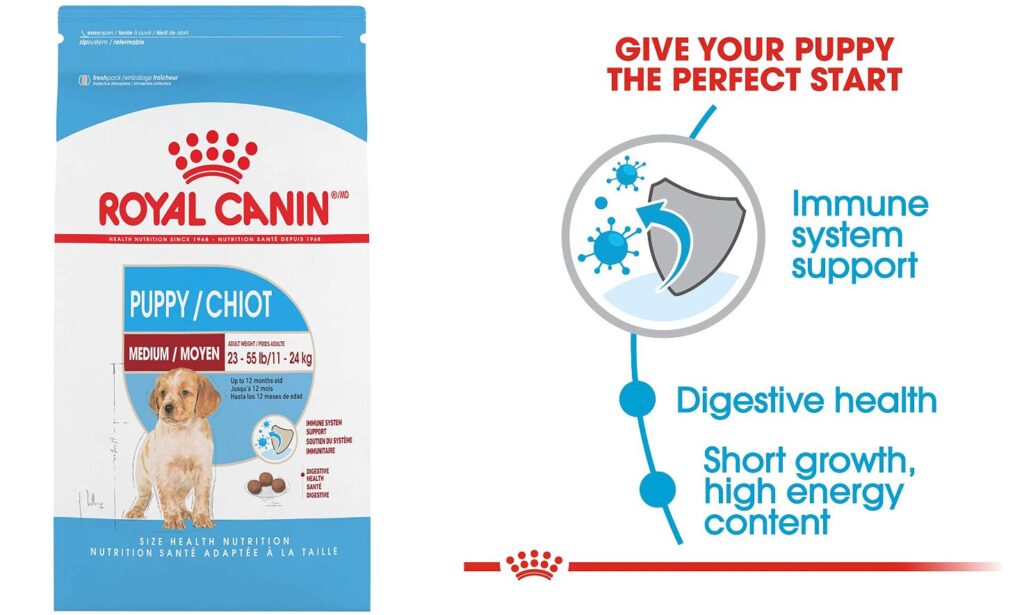 Best types of puppy food for Canaan Dogs