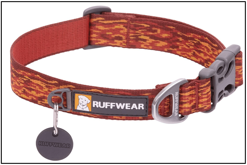 Best types of collars for Dachshunds