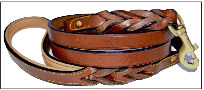 Best types of leashes for Basenjis