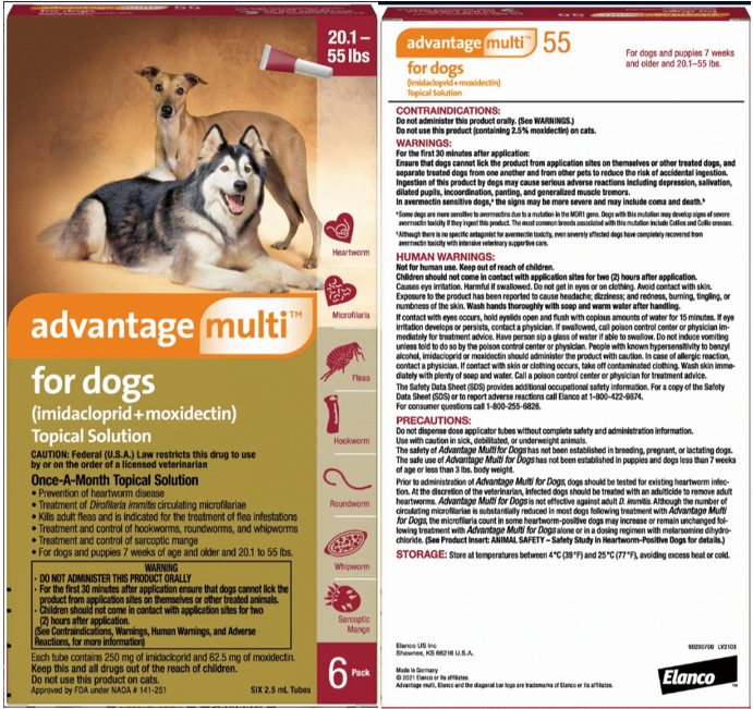 Best types of heartworm medicines for Boglen Terriers