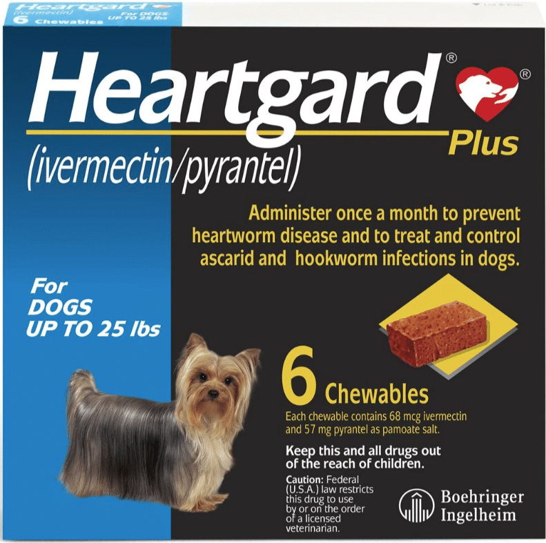 Best types of heartworm medicines for Jagdterriers