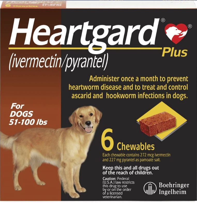 Best types of heartworm medicines for Labmaraners
