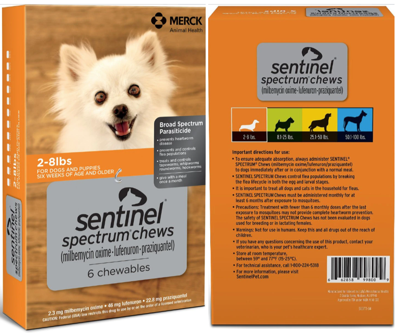 Best types of heartworm medicines for Bichon Frises