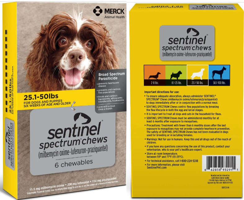 Best types of heartworm medicines for Bordoodles