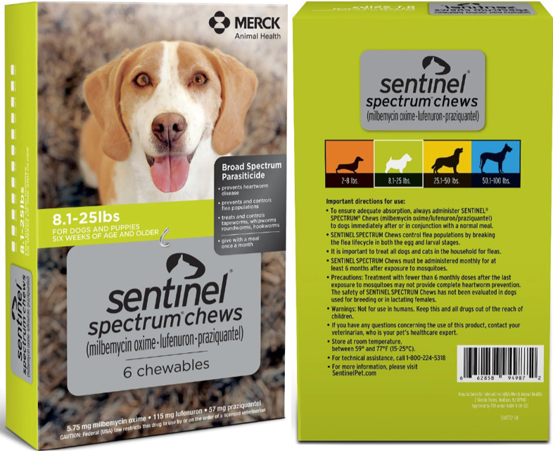 Best types of heartworm medicines for Dandie Dinmont Terriers