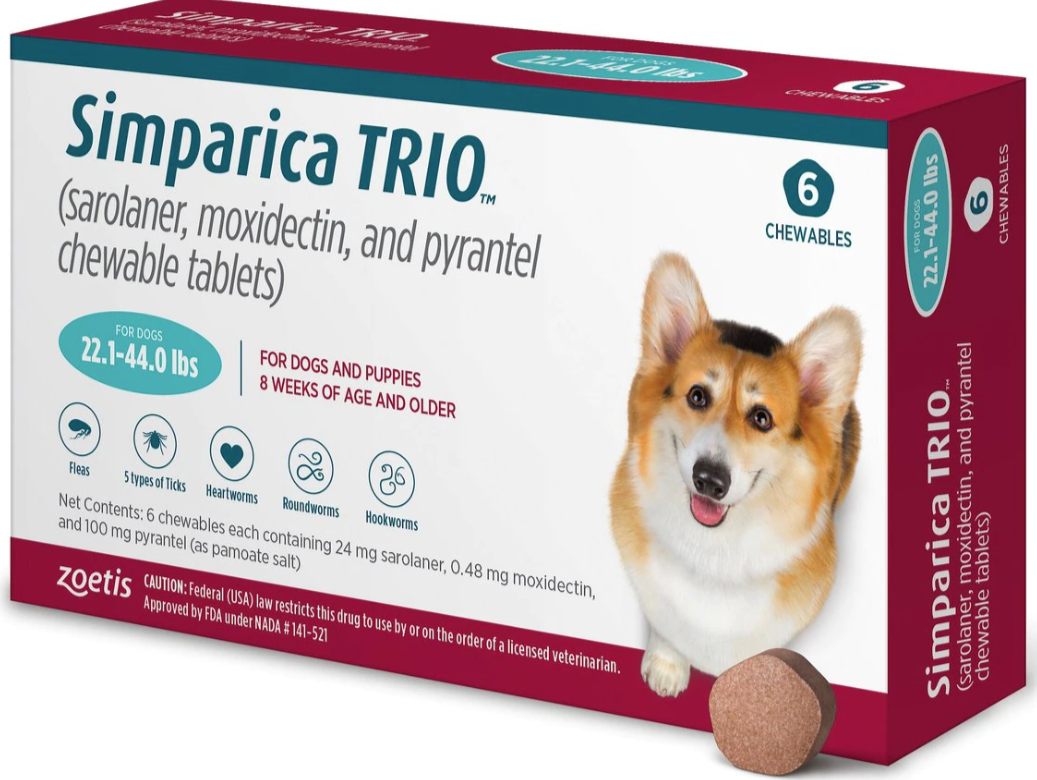 Best types of heartworm medicines for Boglen Terriers