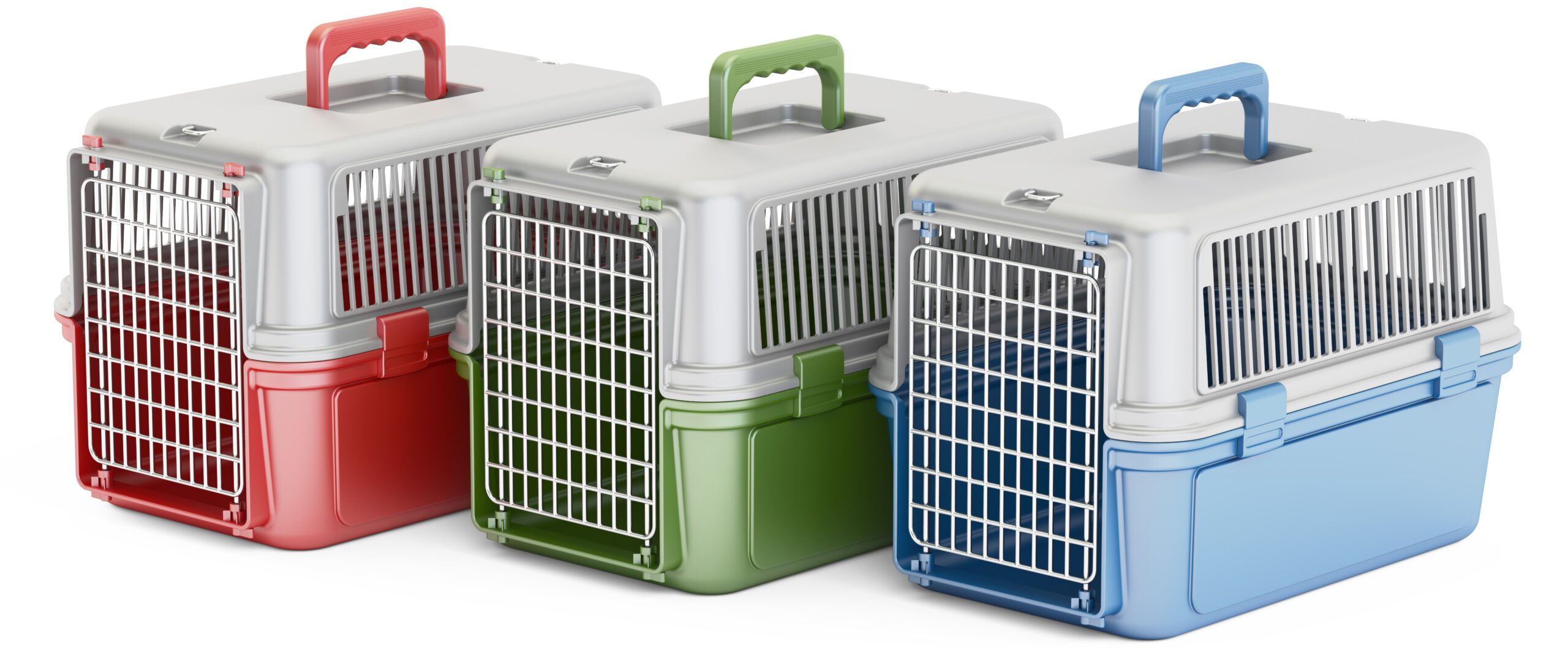 Best types of crates for Pit Bulls