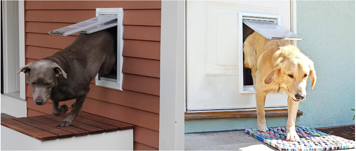 Best types of dog doors for Coonhounds