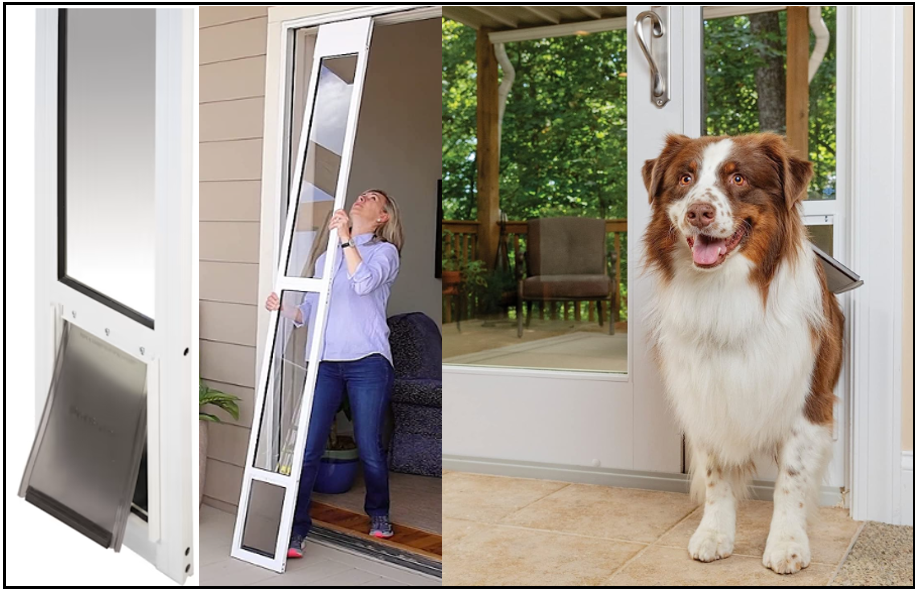 Best types of dog doors for Golden Mountain Dogs