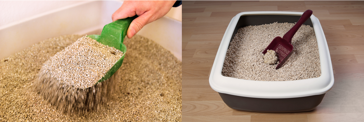 Best types of kitty litter for Toybobs